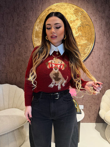 Maglioncino bassotto con occhiali